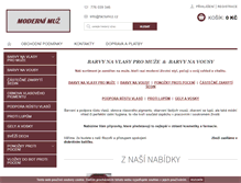 Tablet Screenshot of moderni-muz.cz
